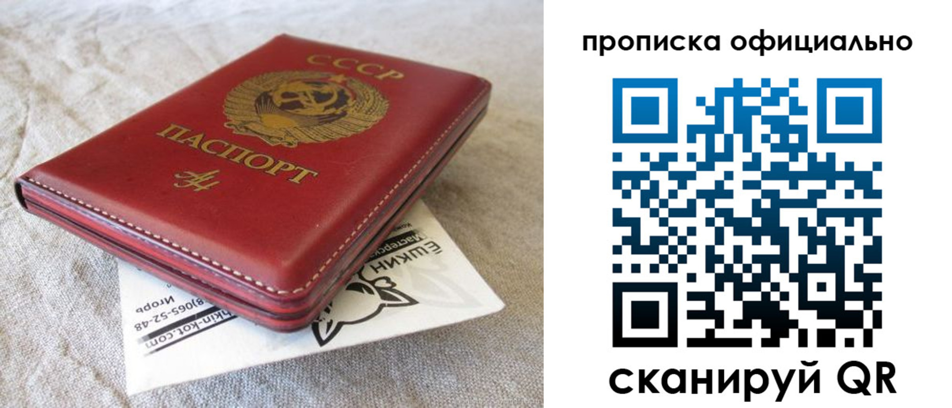 прописка иностранных граждан в Елизово